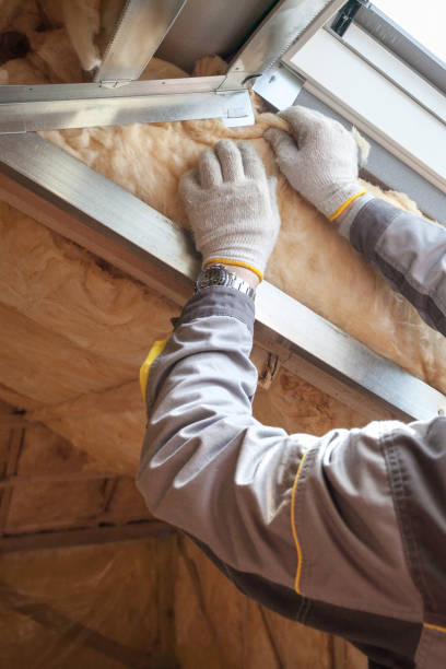 Best Residential Insulation in Newport, DE