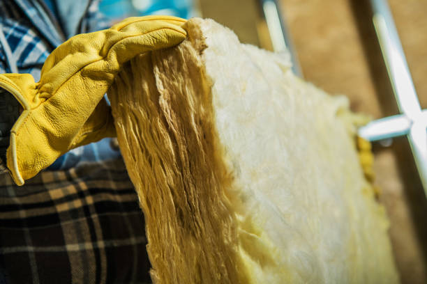 Best DIY Insulation Kits and Guidance in Newport, DE